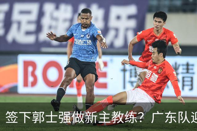 签下郭士强做新主教练？广东队迎来换帅机会，杜锋有望执教国家队